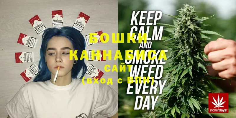 Бошки марихуана SATIVA & INDICA  купить наркоту  Новокубанск 